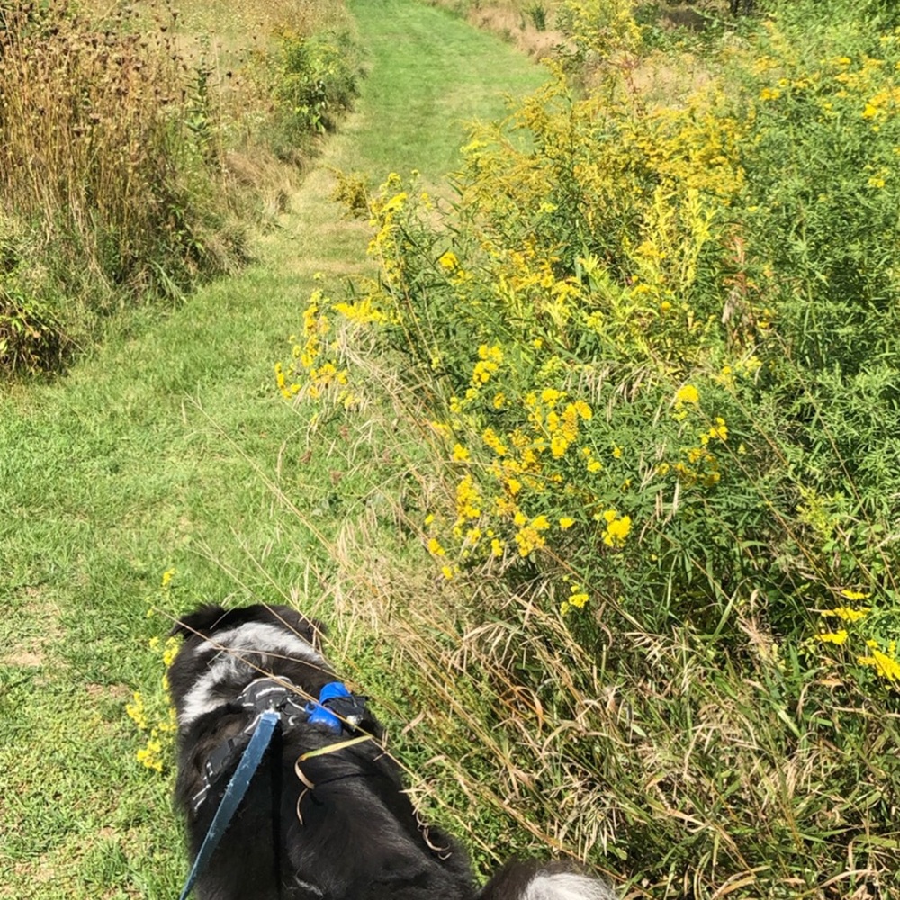 Meet your Posher, Danielle